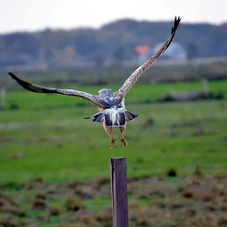 Holiday home Typisch Frans