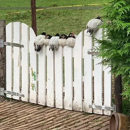 Holiday home Typisch Frans *