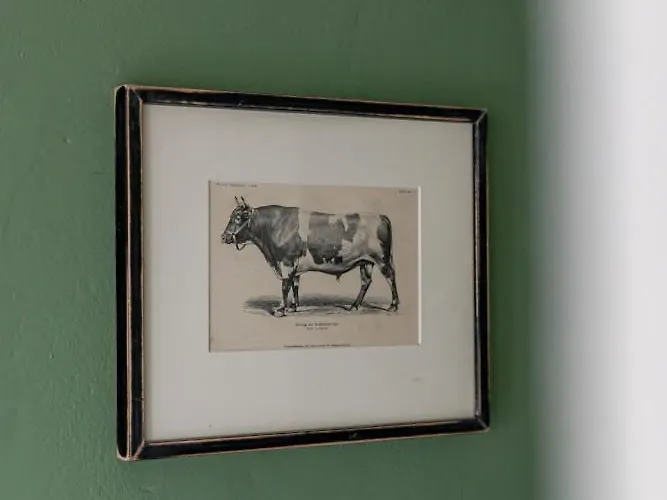 Dom wakacyjny Typisch Frans *