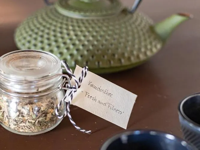 Typisch Frans Dom wakacyjny *