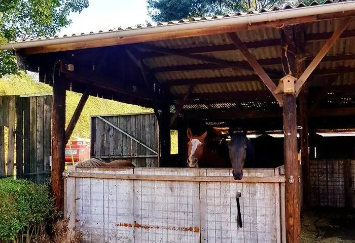 Dom wakacyjny Typisch Frans Halle