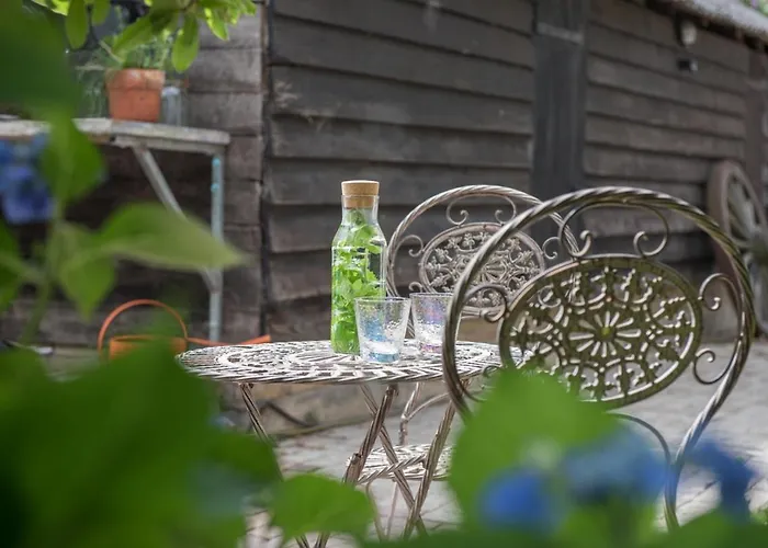 Dom wakacyjny Typisch Frans