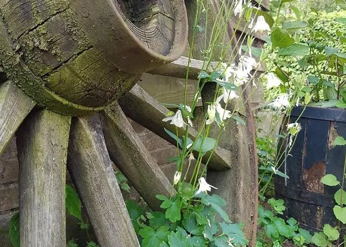 Typisch Frans Dom wakacyjny *