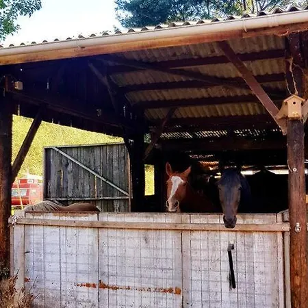 Сasa de vacaciones Typisch Frans Halle