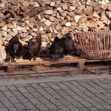 Сasa de vacaciones Typisch Frans